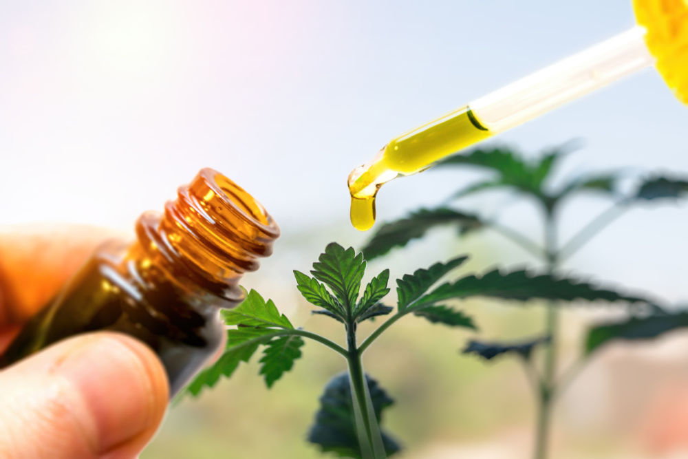 Everything You Need to Know About Microdosing CBD