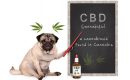Congressman Shows Own CBD Products During Hearing