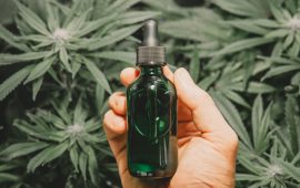 CBD and pain- a famous NFL player’s experience