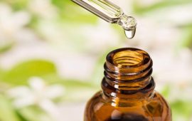 Your Go-To Guide to CBD Oil