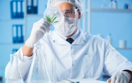 8 Pennsylvania Universities Set to Conduct Cannabis Research