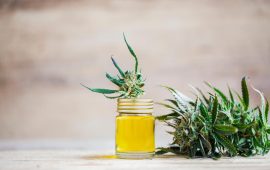 CBD Oil in the UK: Everything You Should Know