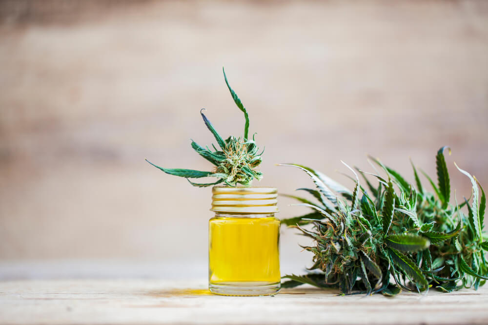 CBD Oil in the UK: Everything You Should Know