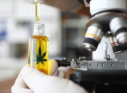 New Cannabinoid Research Lab Coming to Colorado State University