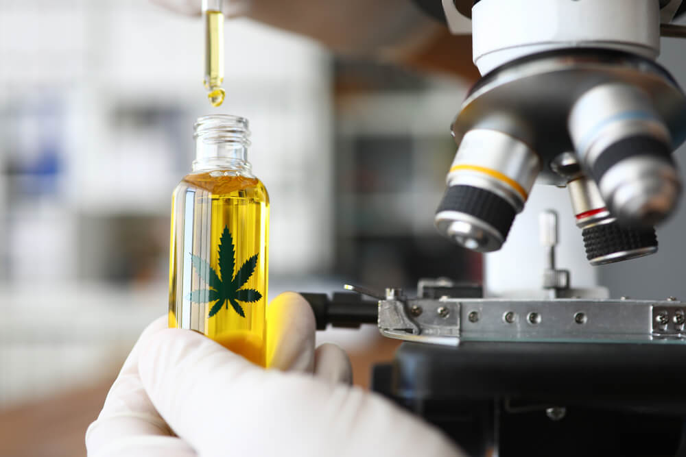 New Cannabinoid Research Lab Coming to Colorado State University