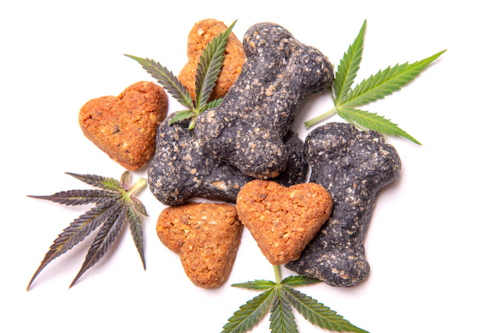 PHCG Launches New CBD Products Geared Towards Pets