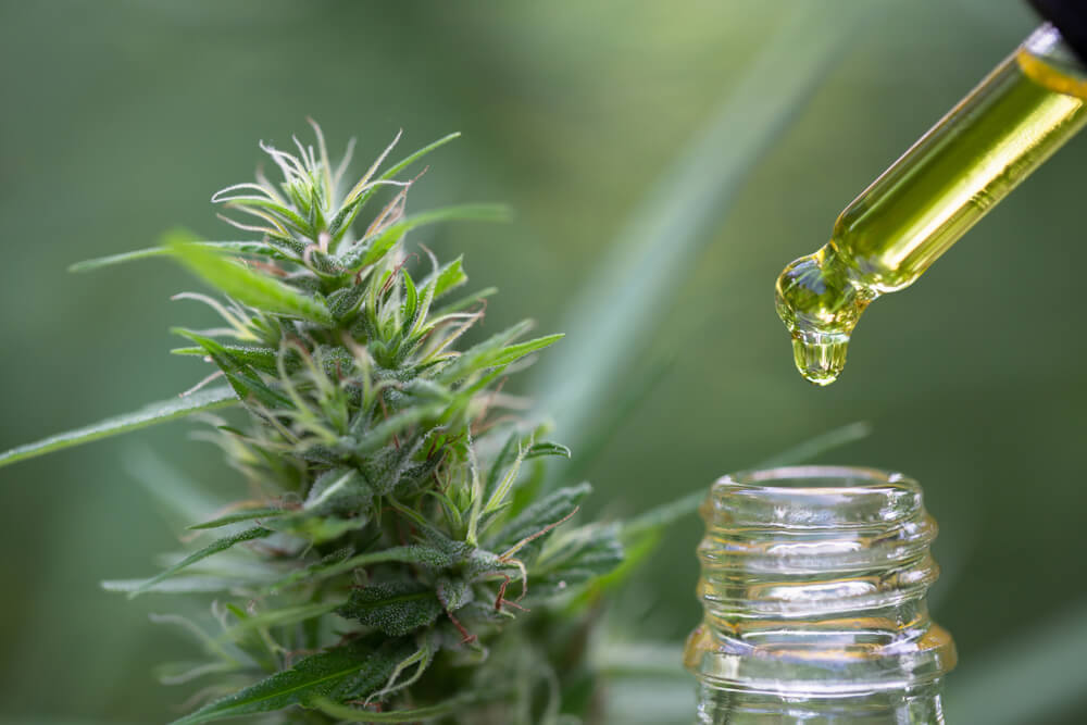 What’s The Difference Between CBD and Hemp Oil?