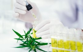 CV Sciences Announces Publication of Two Research Studies Demonstrating the Health Benefits and Safety of Its CBD Products