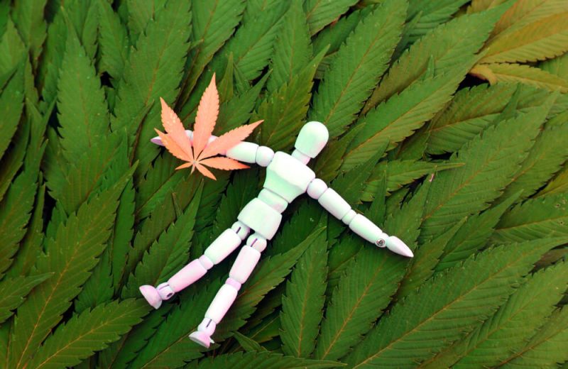 Marijuana ganja cannabis leaves and wooden figure boy in recreation relax state of mind