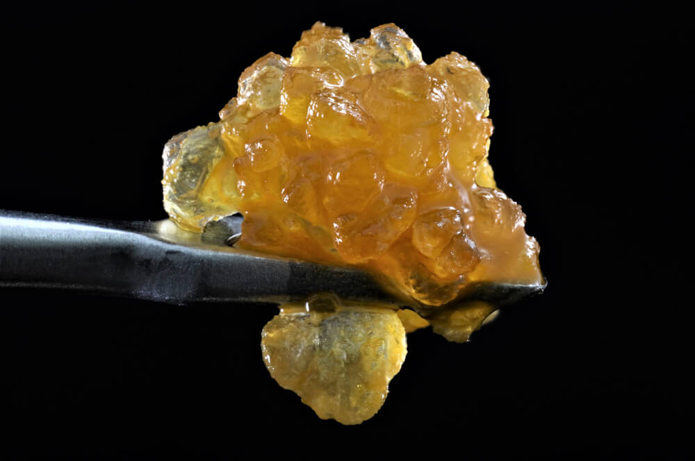 3 important factors to consider when buying Cannabis Concentrates