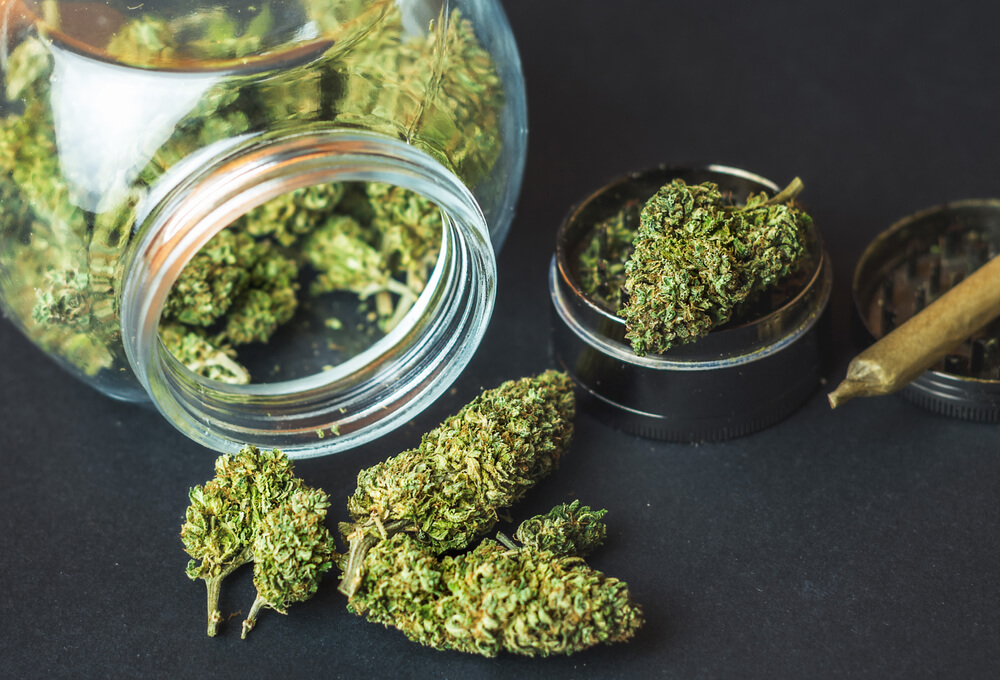 Intro Guide: How To Use CBD Flower Buds