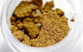 CBD Hash: All You Must Know